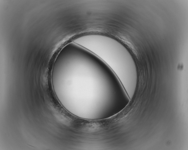 X0000091080492200708061340