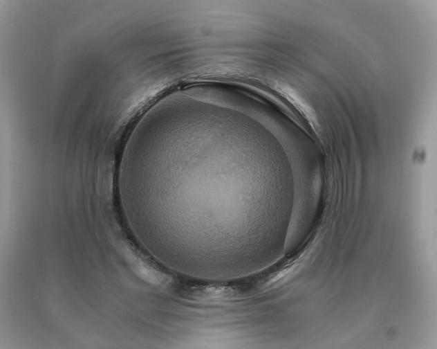 X0000091080493200708061340