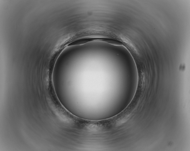 X0000091080494200708061340