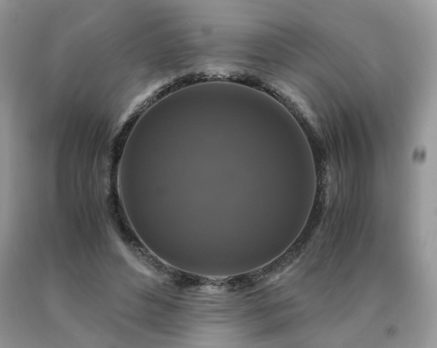 X0000091080496200708061340