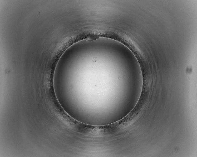 X0000091080497200708061340