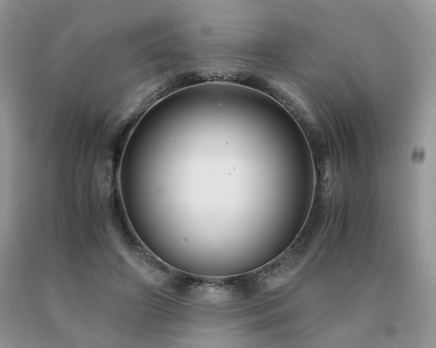 X0000091080498200708061340