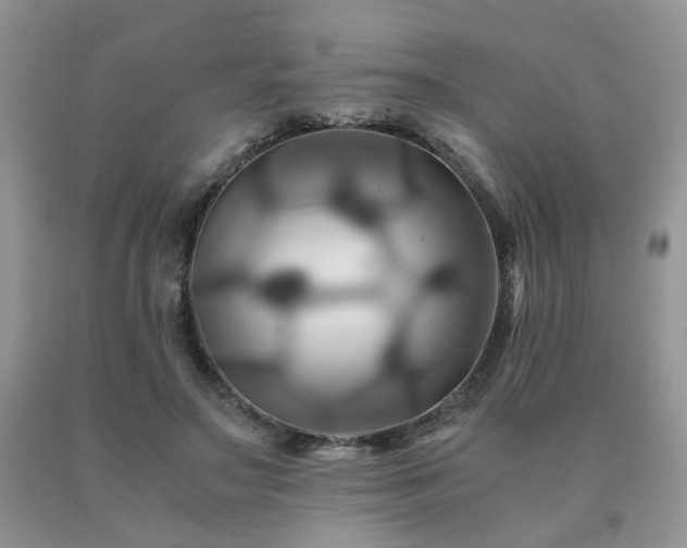 X0000091080499200708061340
