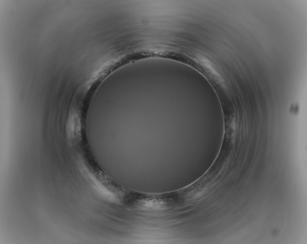 X0000091080500200708061340