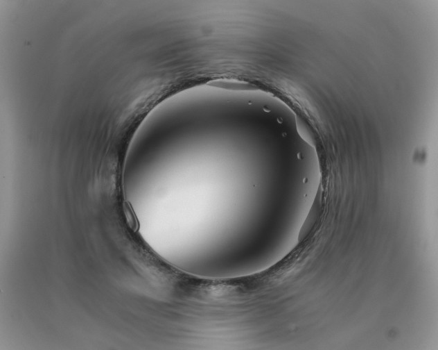 X0000091080501200708061340