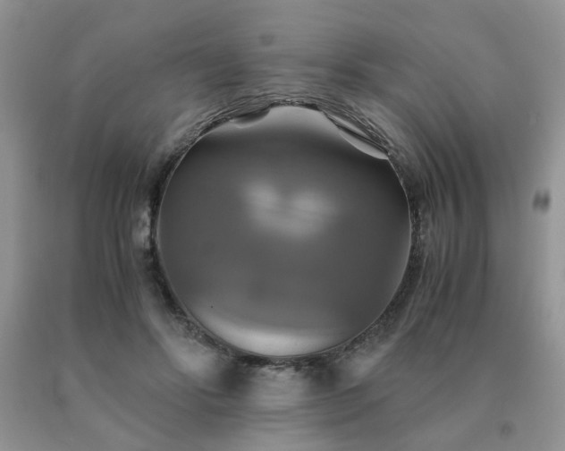 X0000091080502200708061340