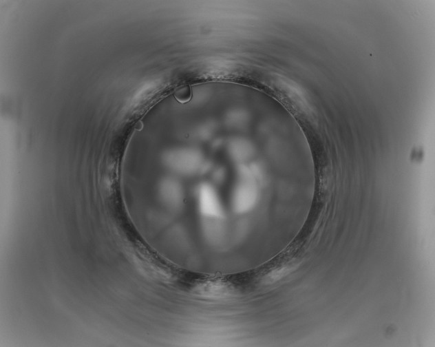 X0000091080503200708061340