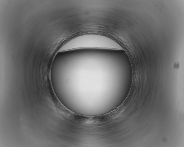 X0000091080504200708061340