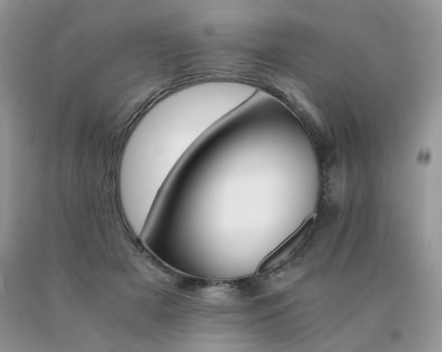 X0000091080505200708061340