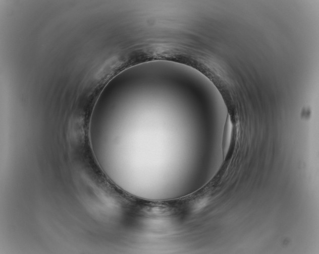 X0000091080506200708061340