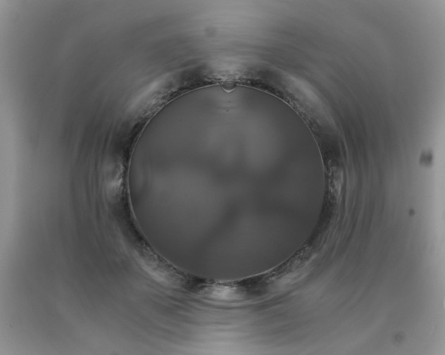 X0000091080507200708061340