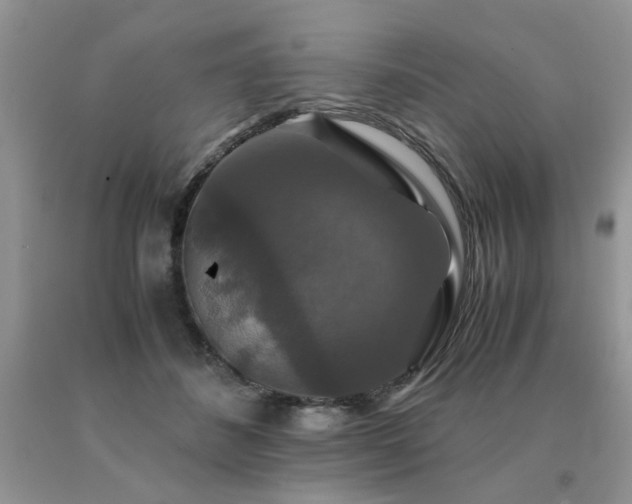 X0000091080508200708061340