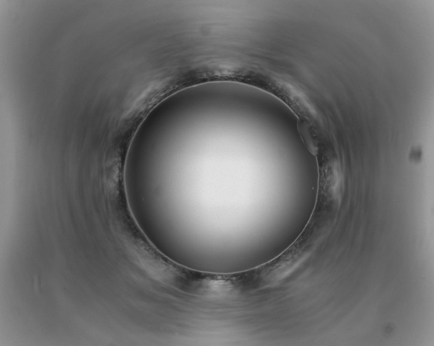 X0000091080509200708061340