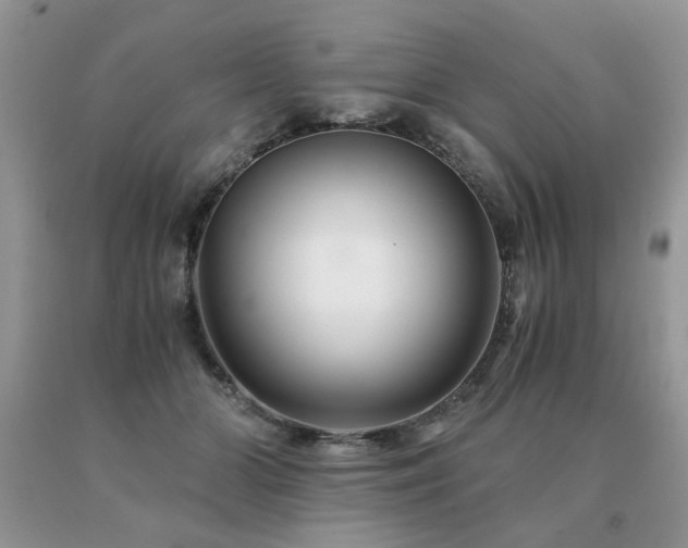 X0000091080510200708061340