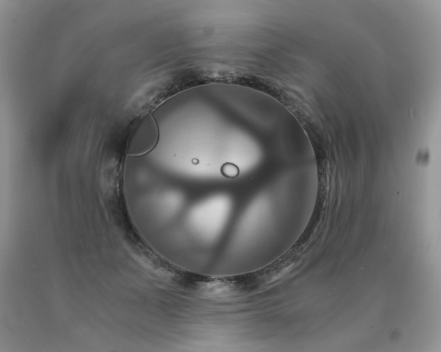 X0000091080511200708061340