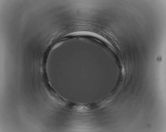 X0000091080512200708061340