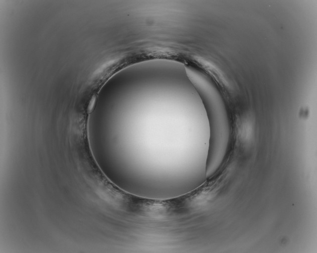 X0000091080513200708061339