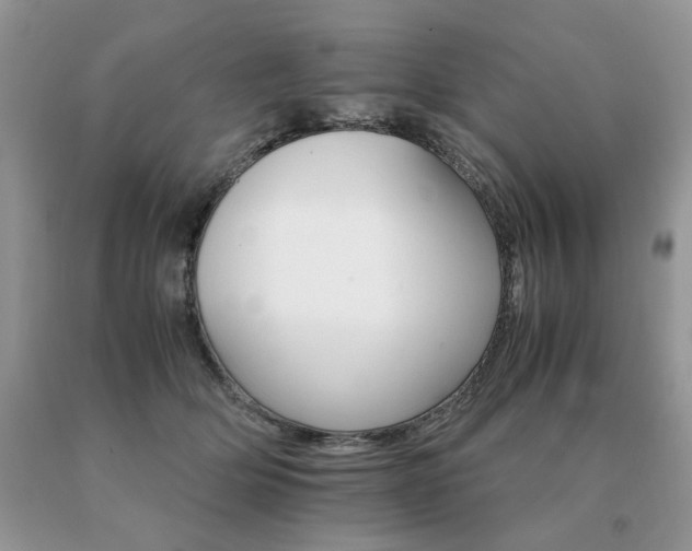 X0000091080514200708061339