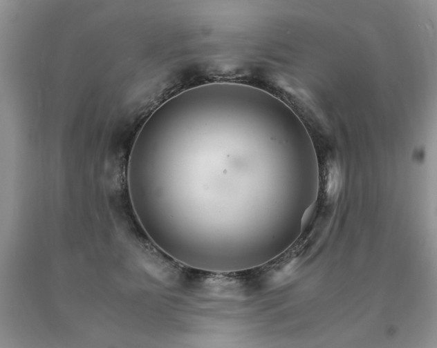 X0000091080515200708061339