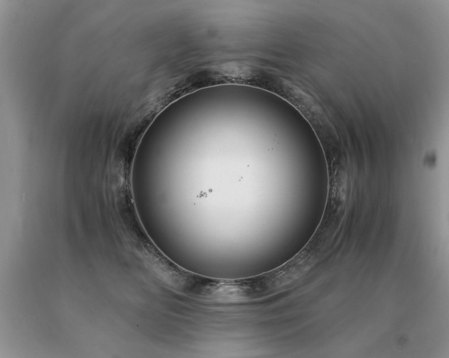 X0000091080518200708061339