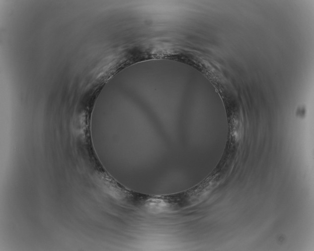 X0000091080519200708061339