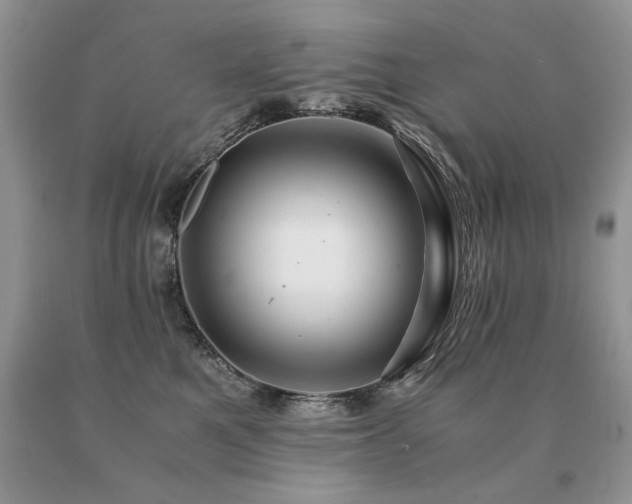 X0000091080521200708061339