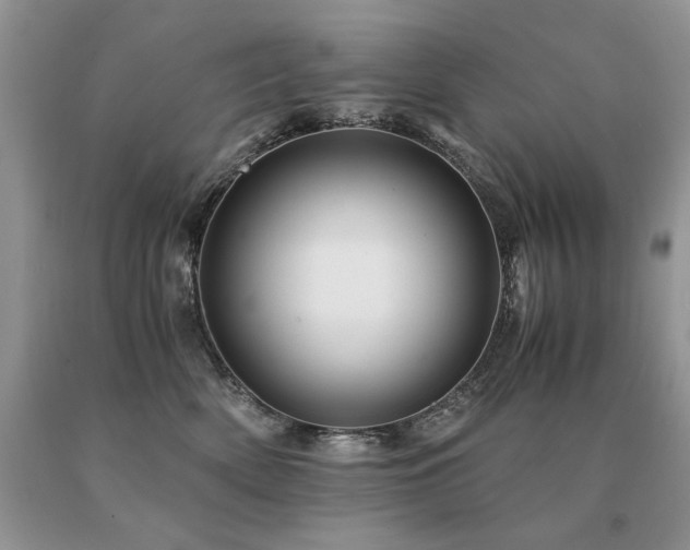 X0000091080522200708061339