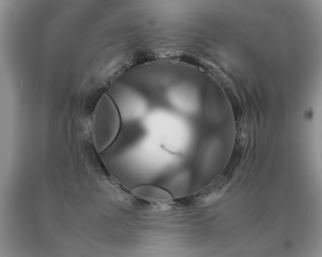 X0000091080523200708061339