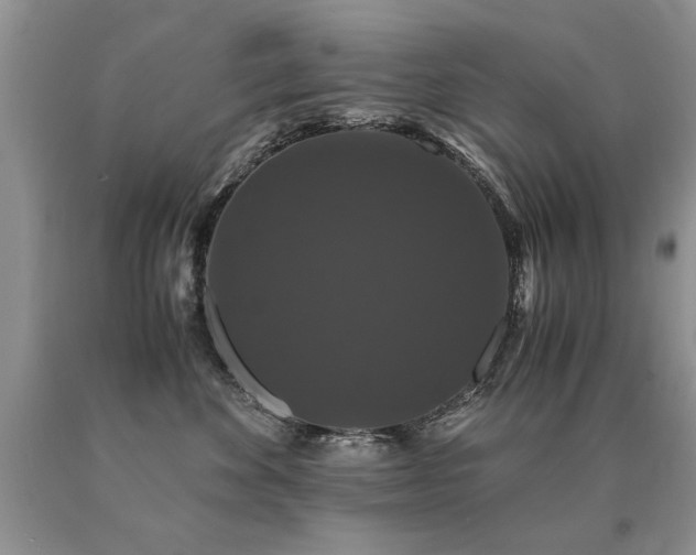 X0000091080524200708061339