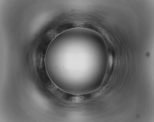 X0000091080525200708061339