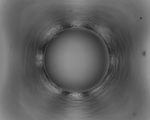 X0000091080526200708061339