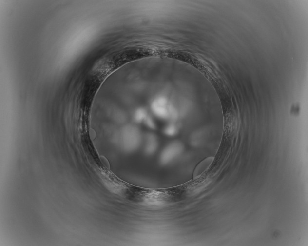 X0000091080527200708061339