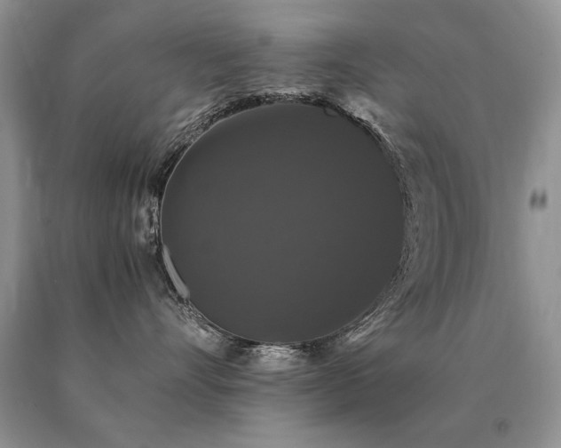 X0000091080528200708061339