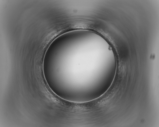 X0000091080529200708061339