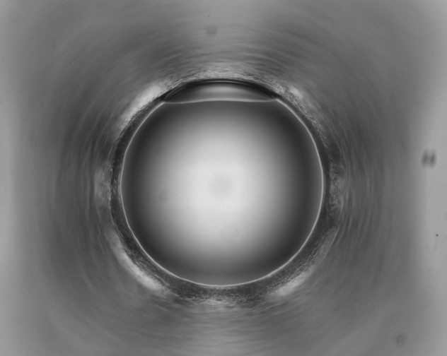 X0000091080530200708061339