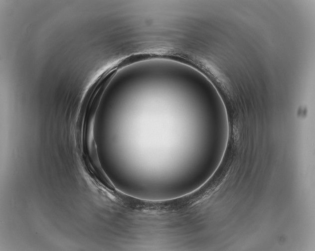 X0000091080532200708061339