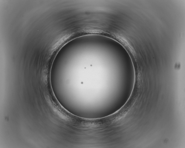 X0000091080533200708061339