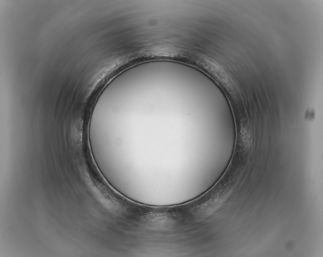 X0000091080534200708061339