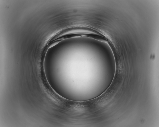 X0000091080535200708061339