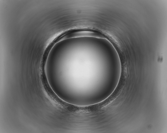 X0000091080536200708061339