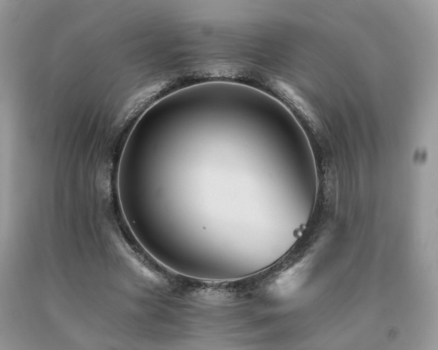 X0000091080537200708061339