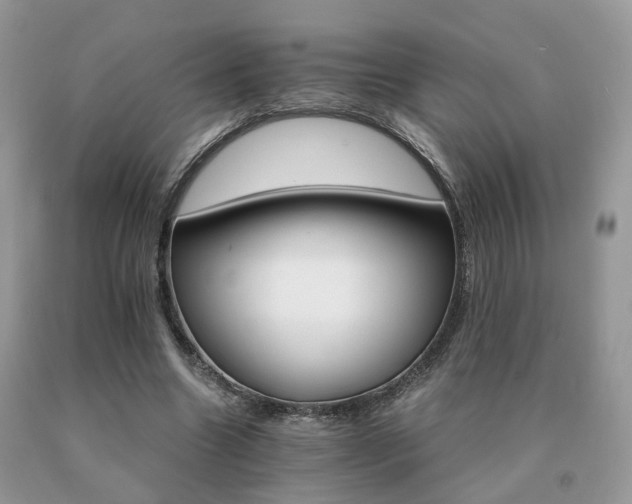 X0000091080538200708061339