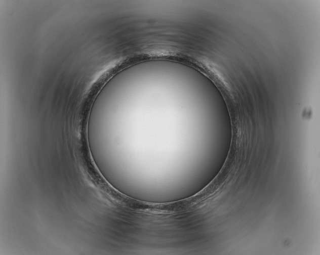 X0000091080539200708061339