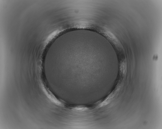 X0000091080540200708061339