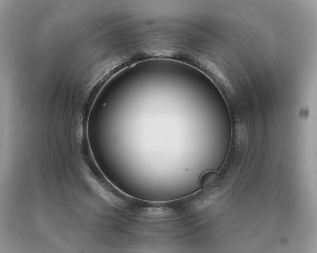 X0000091080541200708061339