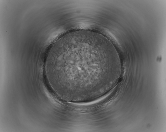 X0000091080542200708061339