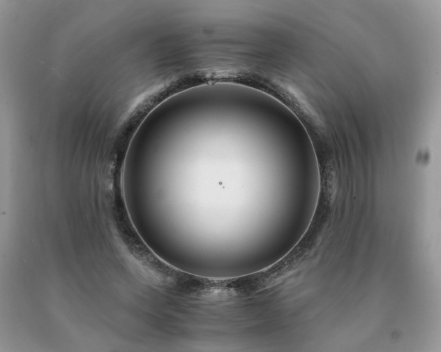 X0000091080543200708061339