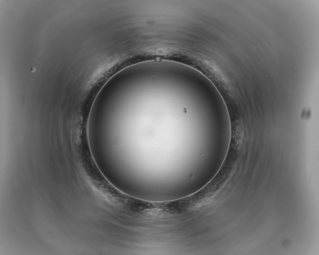 X0000091080544200708061339