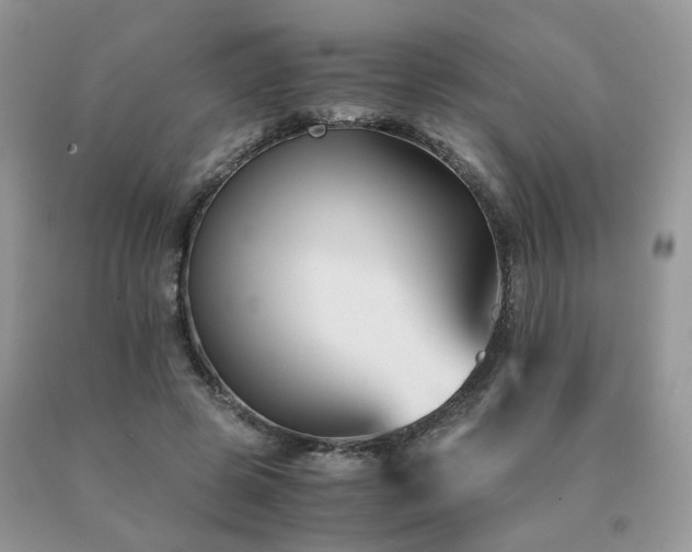 X0000091080545200708061339