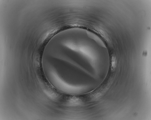 X0000091080547200708061339